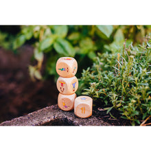 Load image into Gallery viewer, Yogi Fun Dice Game set in nature