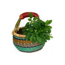 Load image into Gallery viewer, Explorer Basket Olive - Leather handle
