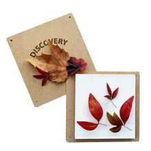 Load image into Gallery viewer, wooden flower press kit with autumn leaves
